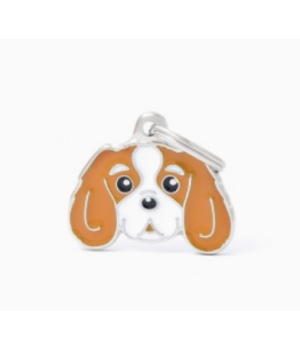 Friends - Cavalier King Charles