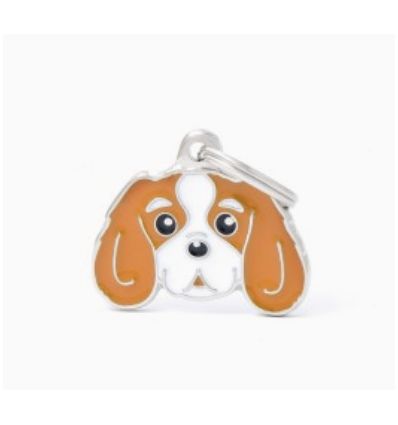 Friends - Cavalier King Charles