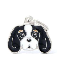 Friends - Cavalier King Charles