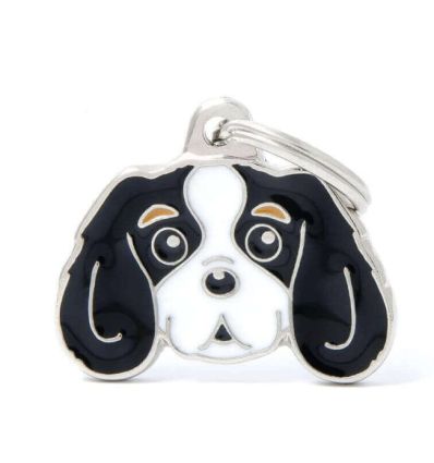 Friends - Cavalier King Charles