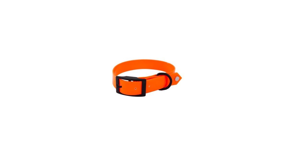 Collier de chasse Fluo