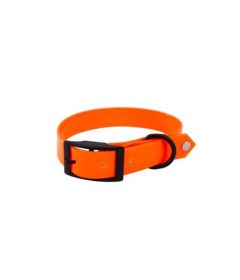 Collier de chasse Fluo