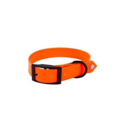 Collier de chasse Fluo