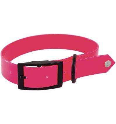 Collier de chasse Fluo