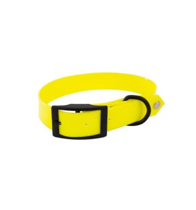 Collier de chasse Fluo