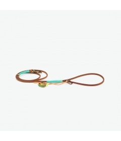 Laisse Billy (Petits Chiens) DWAM - 2 2