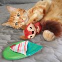Kong - Pull a partz Tuck
