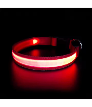 Collier LED plat