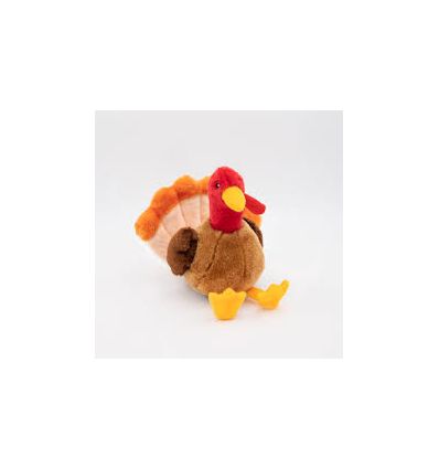 Tucker the turkey
