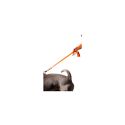 Laisse cuir divers
