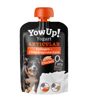 Yow Up - Chondroitine articulation
