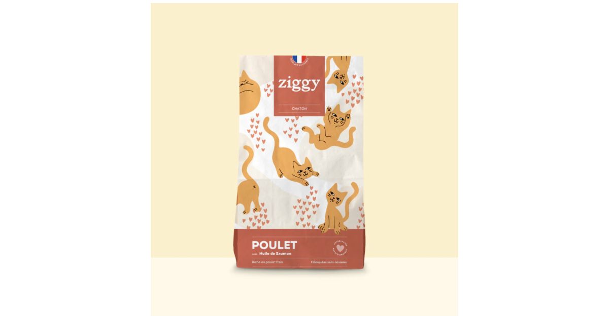 Croquettes Chaton - Poulet