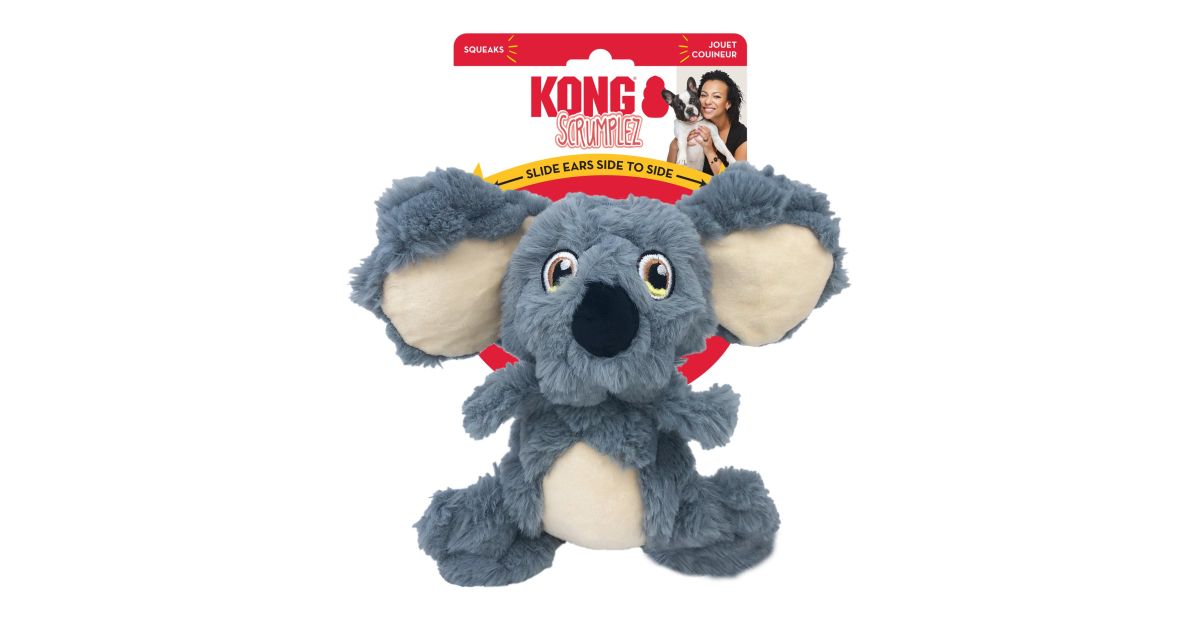 Kong - Scrumplez Koala