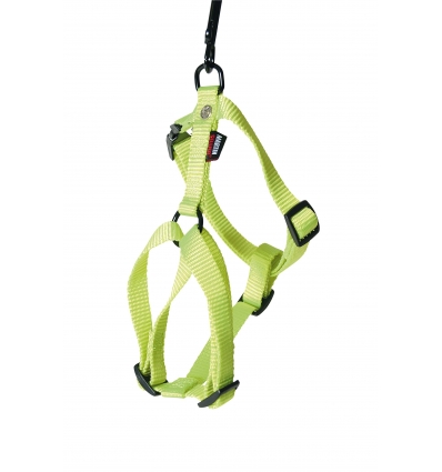 Harnais pour chiens: Harnais Réglable MS Martin Sellier - 5