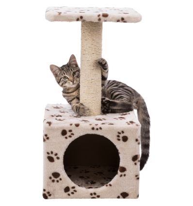 Junior arbre a chat Zamora60 cmbeige avec pattes