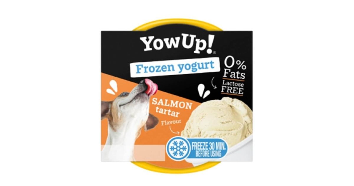 YowUp - Glace pour chien au tartare de saumon