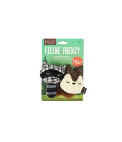 Feline Frenzy - Racoon and Squirel