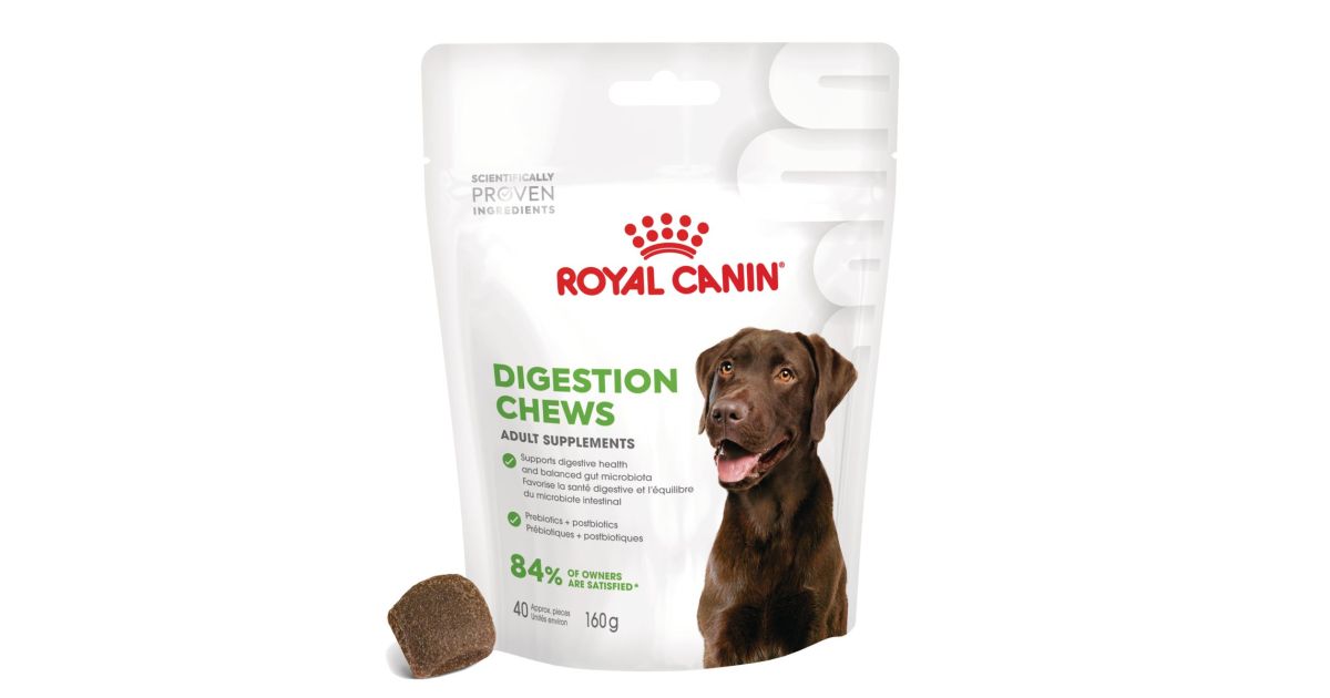 Royal Canin - Digestion Chews