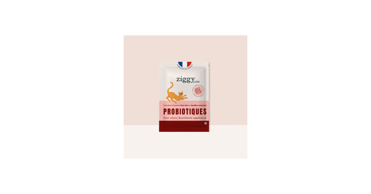 Ziggy - Probiotiques