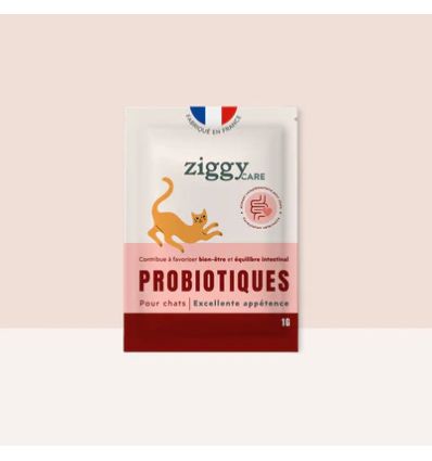 Ziggy - Probiotiques Ziggy - Probiotiques