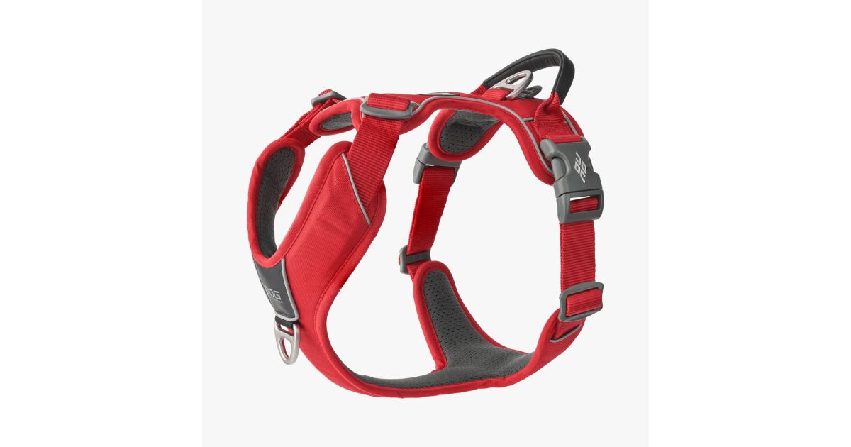 Dog Copenhagen - Harnais Walk Pro