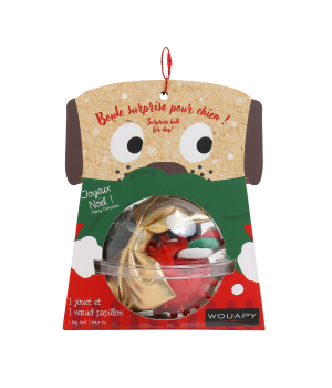 Coffret Boule cadeau pour chien