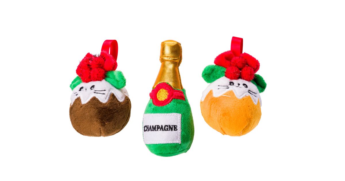 Xmas Cake and Fizz for cats