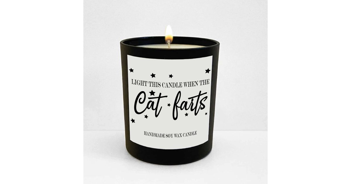 Bougie parfumée Cat fart
