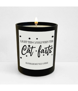 Bougie parfumée Cat fart