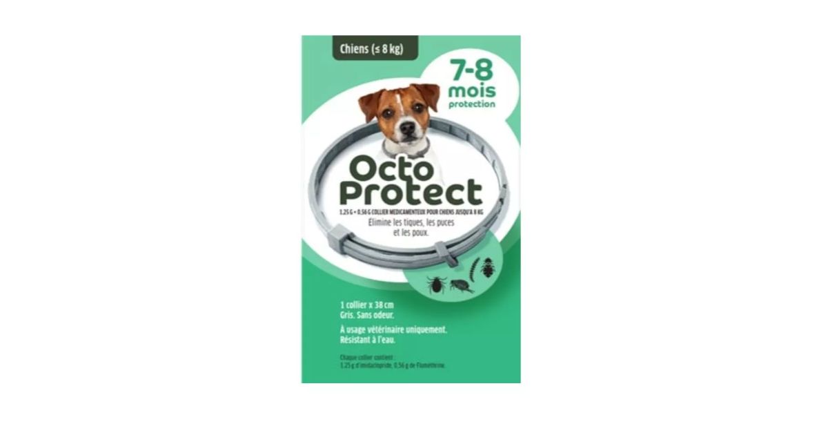 Octoprotect - Petit Chien