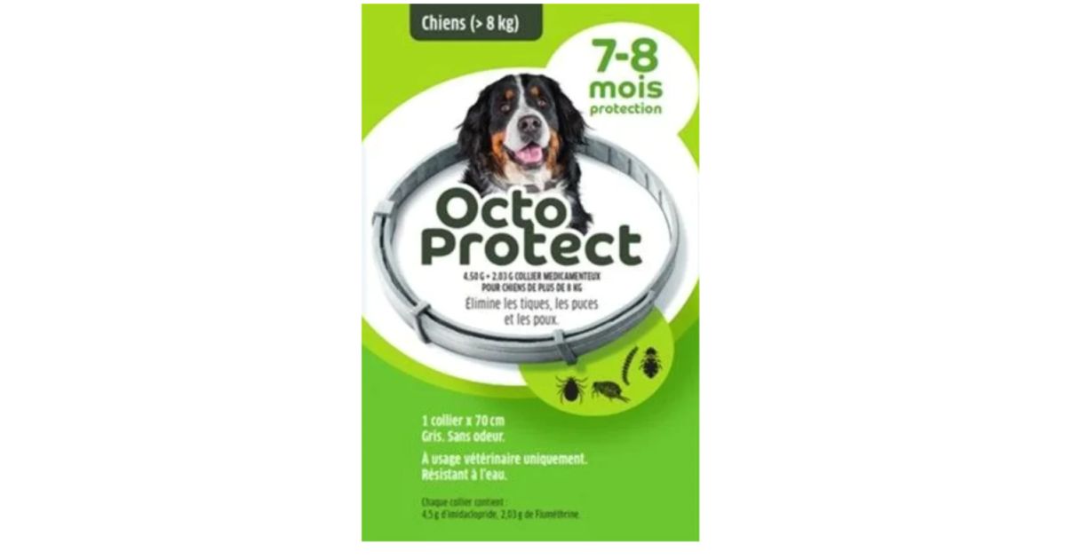 Octoprotect - Grand Chien