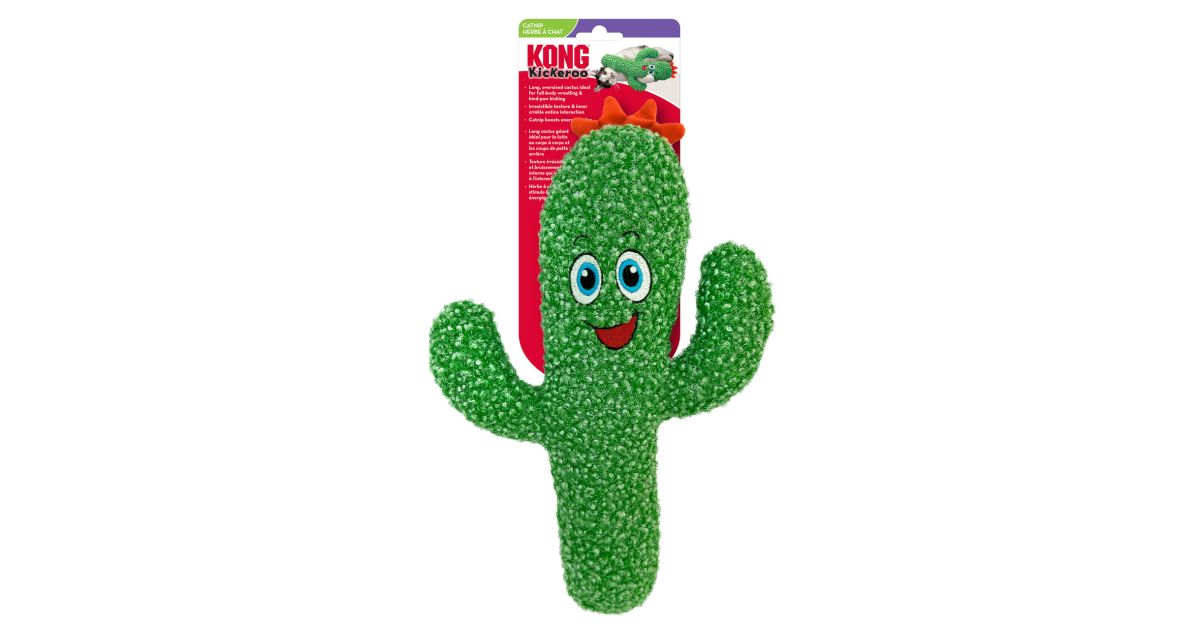 Kong - Kickeroo Cactus
