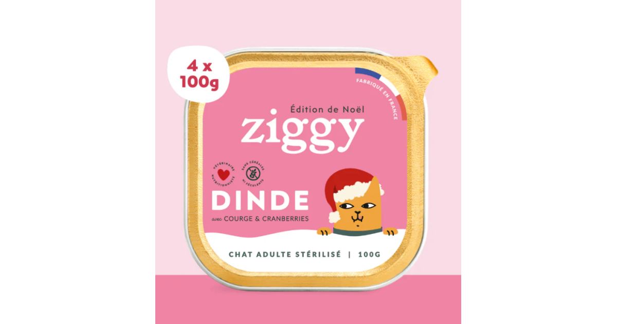 Ziggy - Pâtée Complète Noel- Dinde 4x100g
