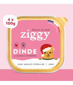 Ziggy - Pâtée Complète Noel- Dinde 4x100g