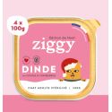 Ziggy - Pâtée Complète Noel- Dinde 4x100g