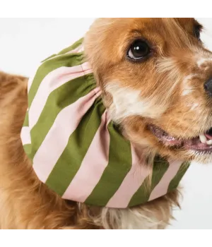 Snood rayé vert et rose