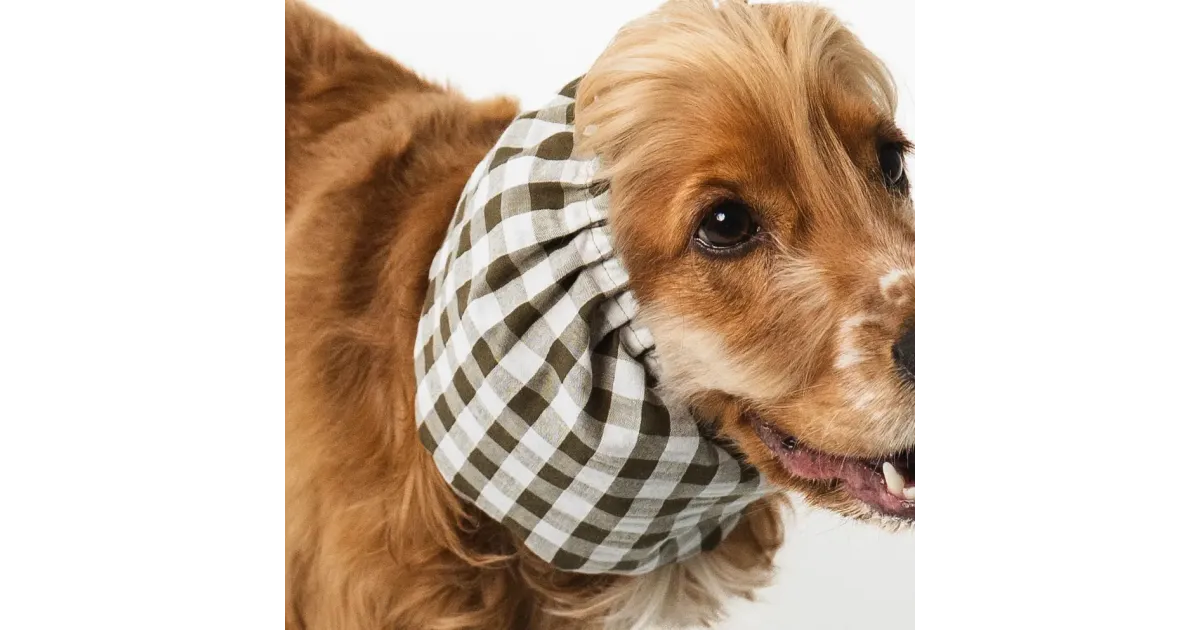 Snood été Barcelone