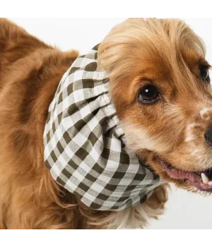 Snood été Barcelone