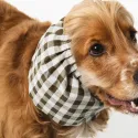Snood été Barcelone