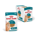 Royal Canin - Ageing 11+ Sauce