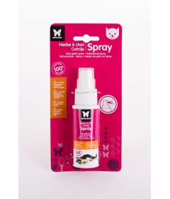 Herbe à Chat en spray