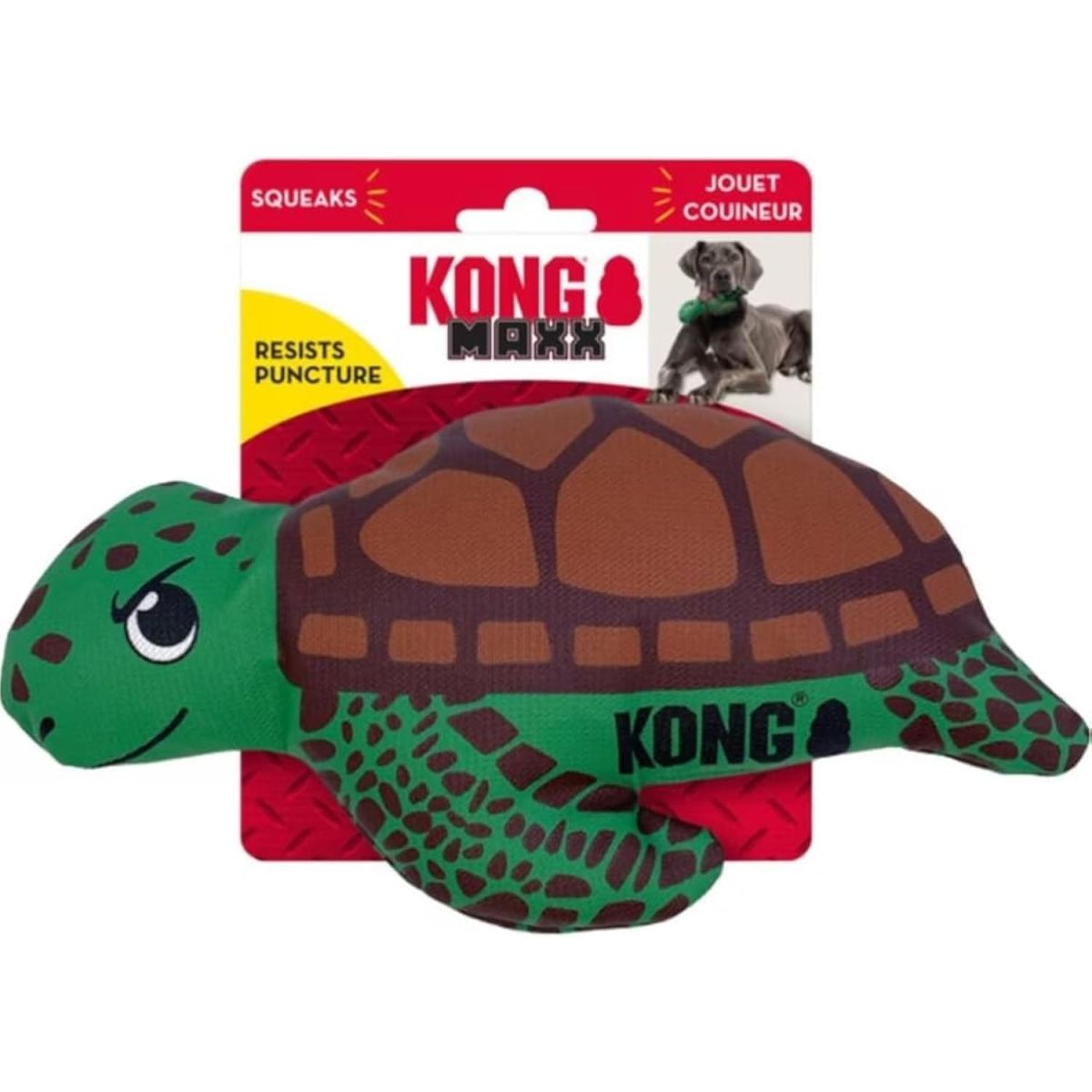 Kong - MAXX TURTLE