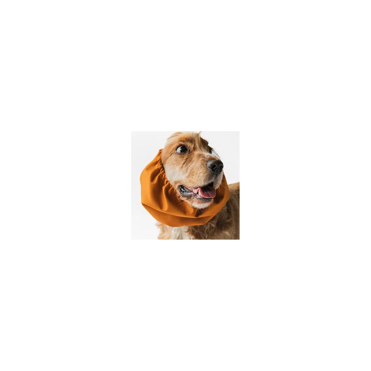 Snood marron impermeable