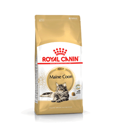 Croquettes pour chat Royal Canin - Maine Coon Adult Royal Canin - 1