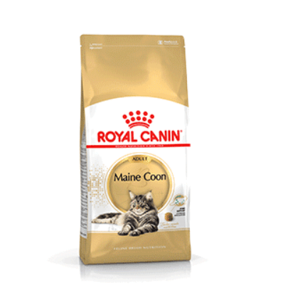 Royal Canin - Maine Coon Adult Royal Canin - 1