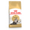 Royal Canin - Persian Adult