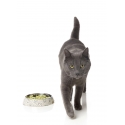 Gamelle plate pour chat Kaos FuzzYard - 2