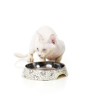 Gamelle plate pour chat Kaos FuzzYard - 3