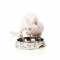 Gamelle plate pour chat Kaos FuzzYard - 3