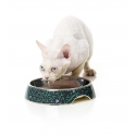 Gamelle plate pour chat Voltage FuzzYard - 2